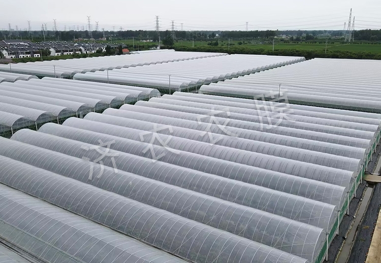 大同蓝莓大棚膜供应商