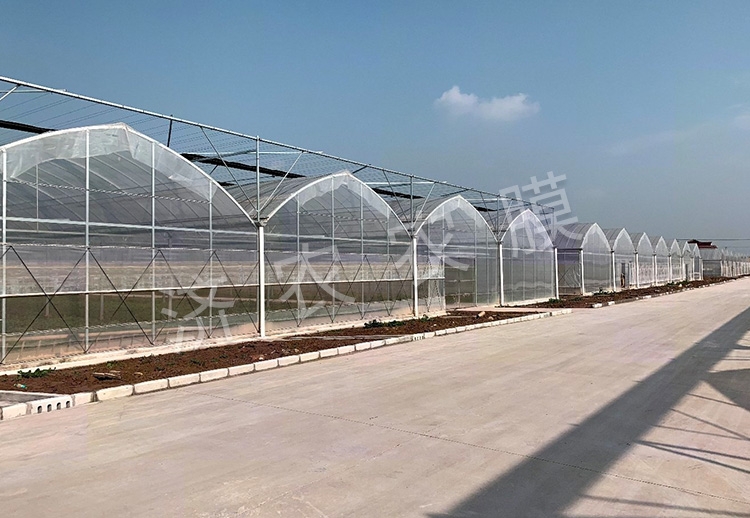 大同蓝莓大棚膜厂