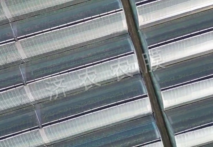 大同蓝莓大棚膜安装