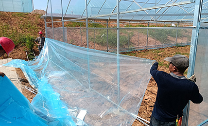 透明膜安装现场